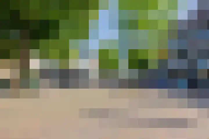 Houttuin 21 Hillegom thumbnail 23