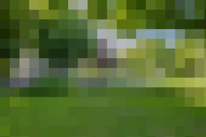 Houttuin 21 Hillegom thumbnail 24
