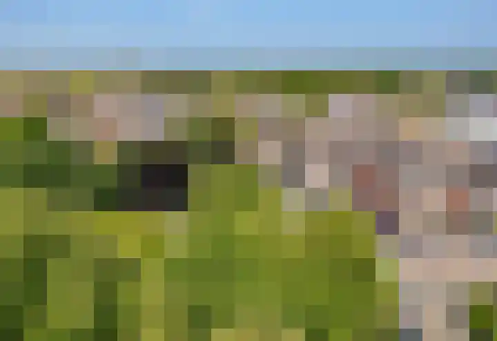 Houttuin 21 Hillegom thumbnail 25