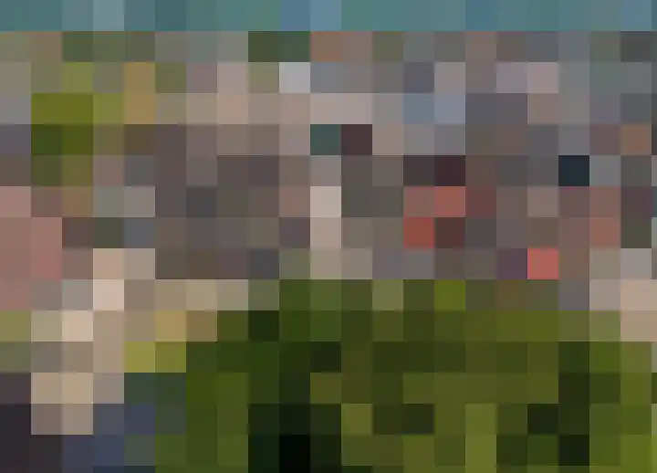Houttuin 21 Hillegom thumbnail 28