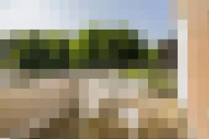 Houttuin 21 Hillegom thumbnail 4