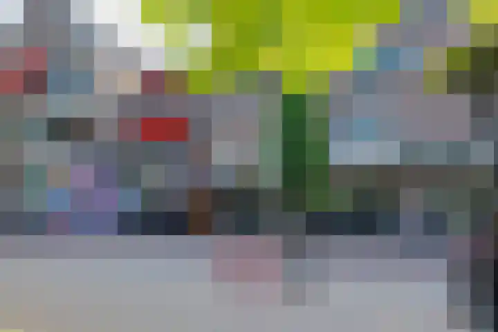 Houttuin 21 Hillegom thumbnail 6