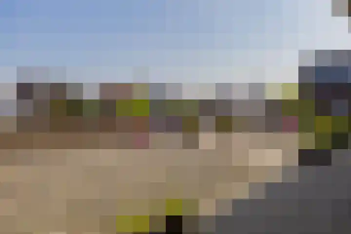 Houttuin 21 Hillegom thumbnail 7