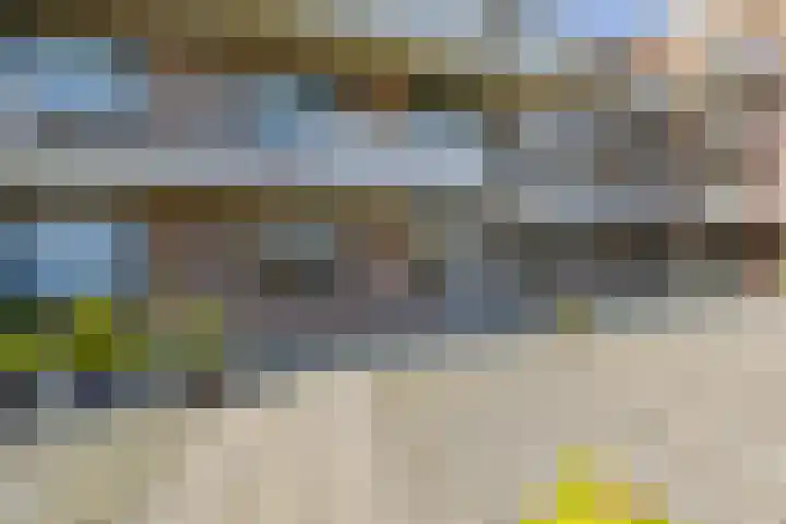Houttuin 21 Hillegom thumbnail 8