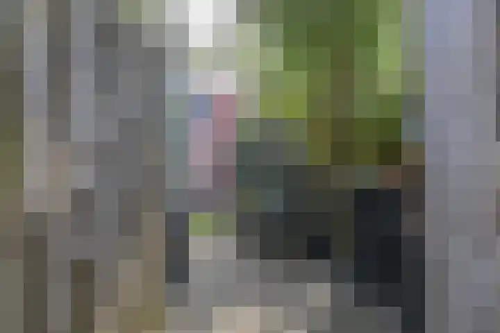 Houttuin 22 Enkhuizen thumbnail 37