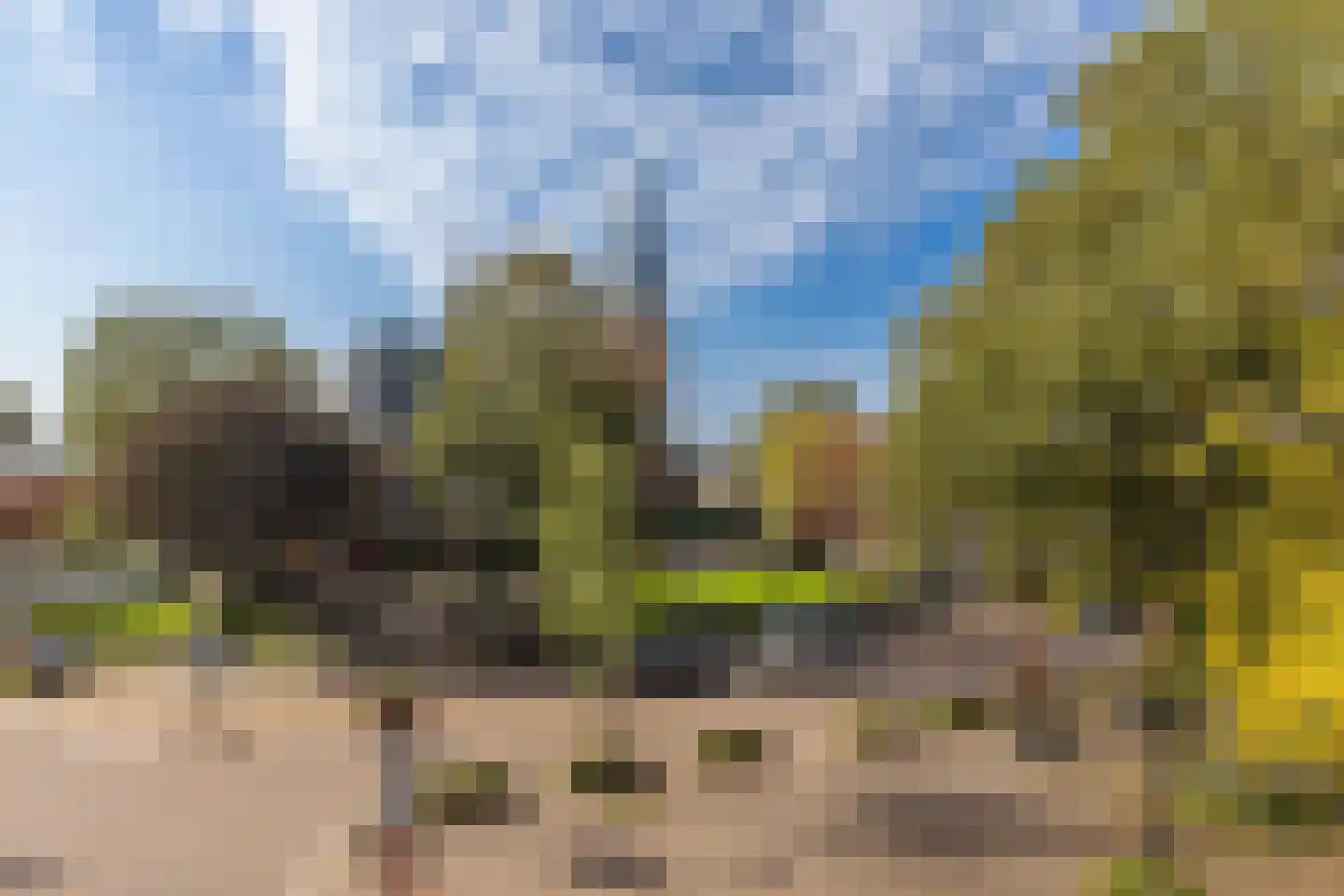 Houttuin 28 Hillegom thumbnail 22