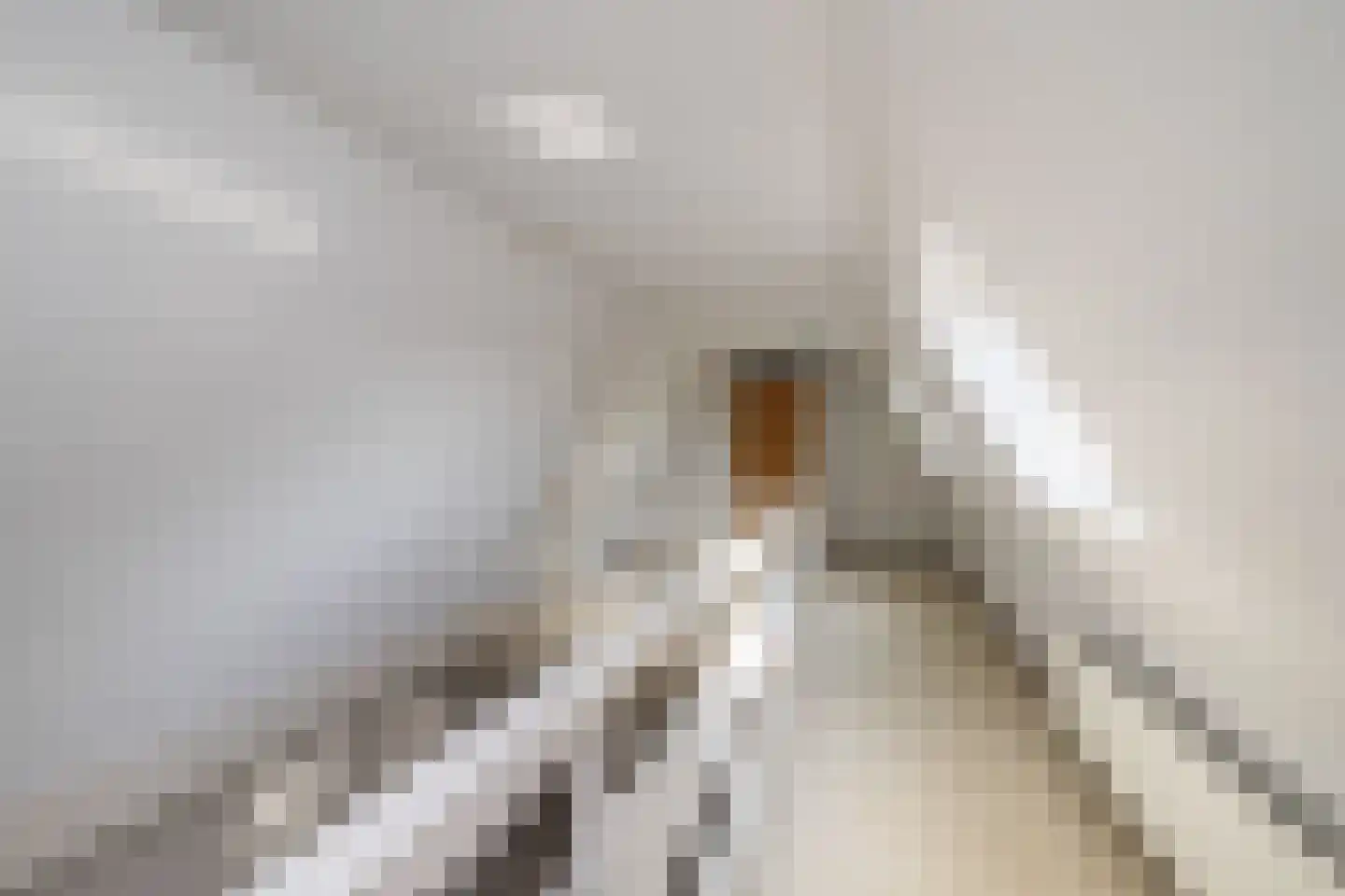 Houttuin 28 Hillegom thumbnail 41