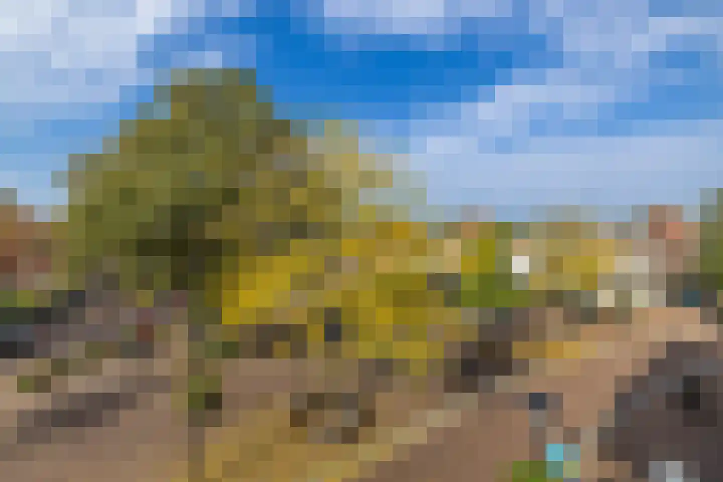 Houttuin 28 Hillegom thumbnail 7