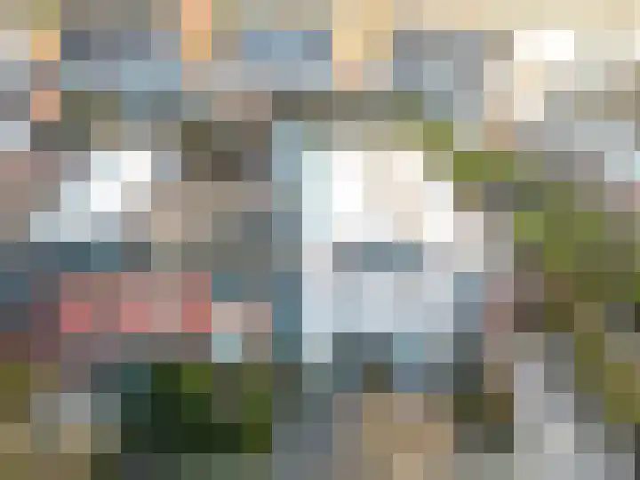 Houttuin 31 Enkhuizen thumbnail 53