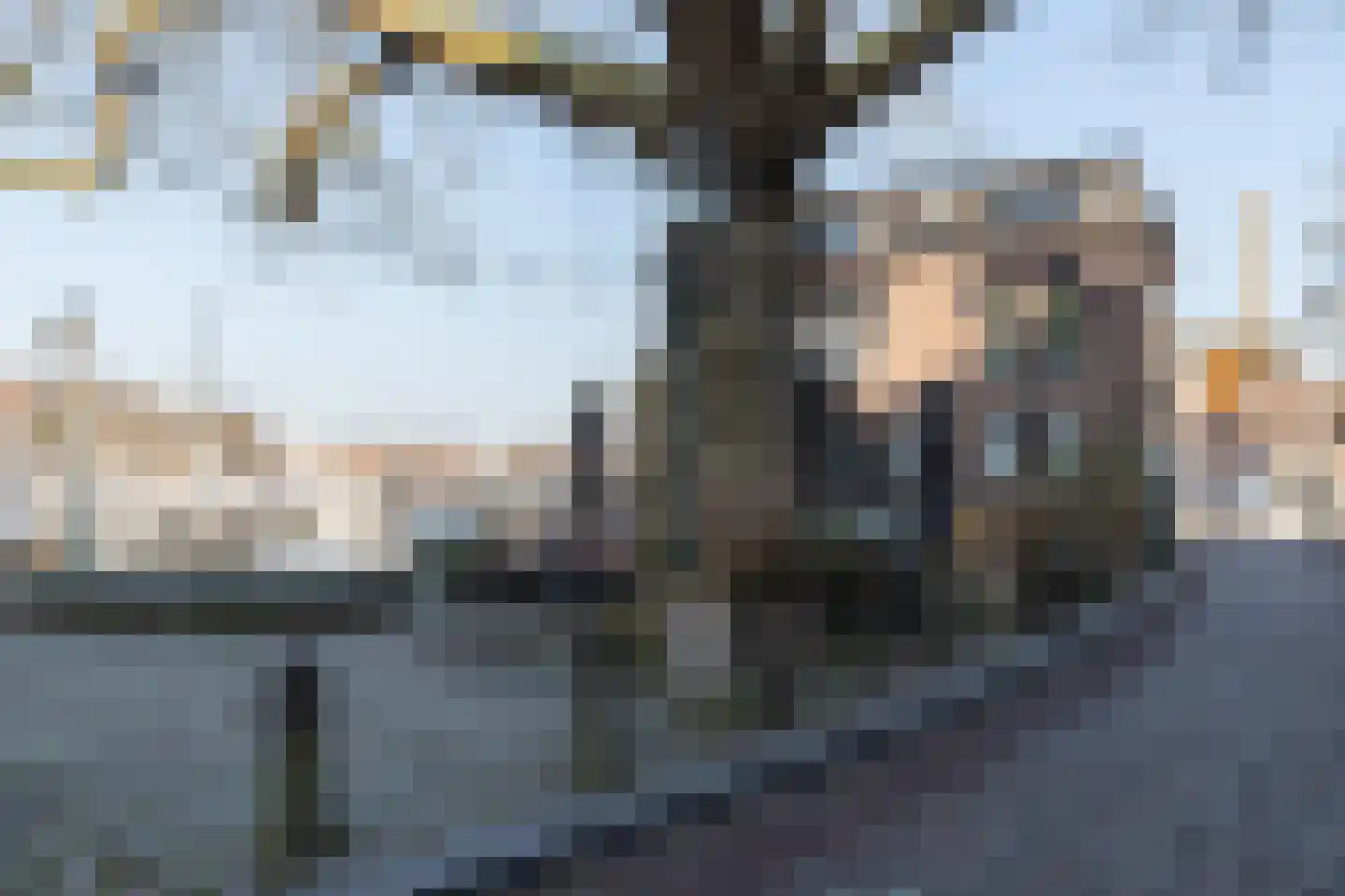 Houttuinen 16 Dordrecht thumbnail 29