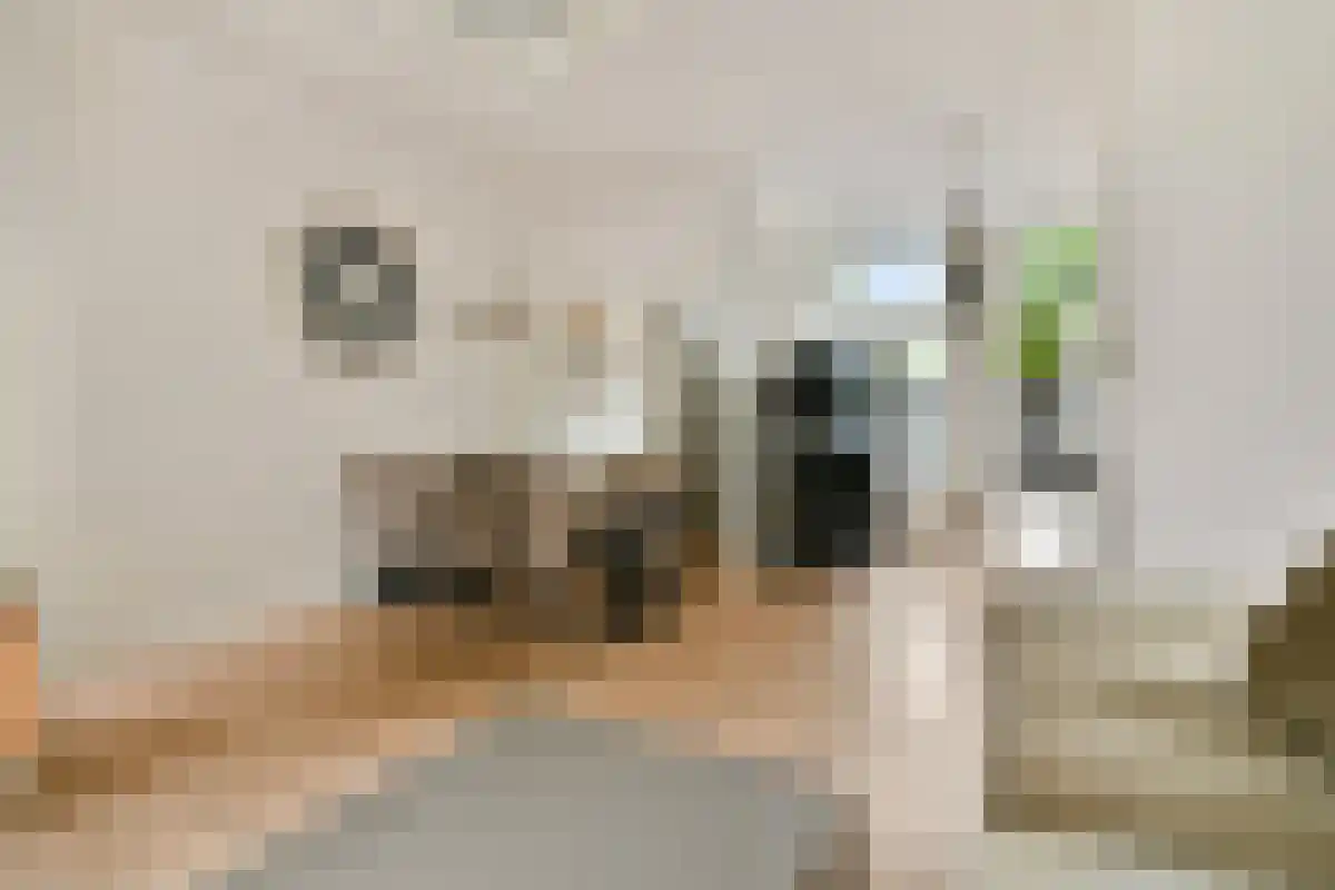 Houttuinen 2 Purmerend thumbnail 4