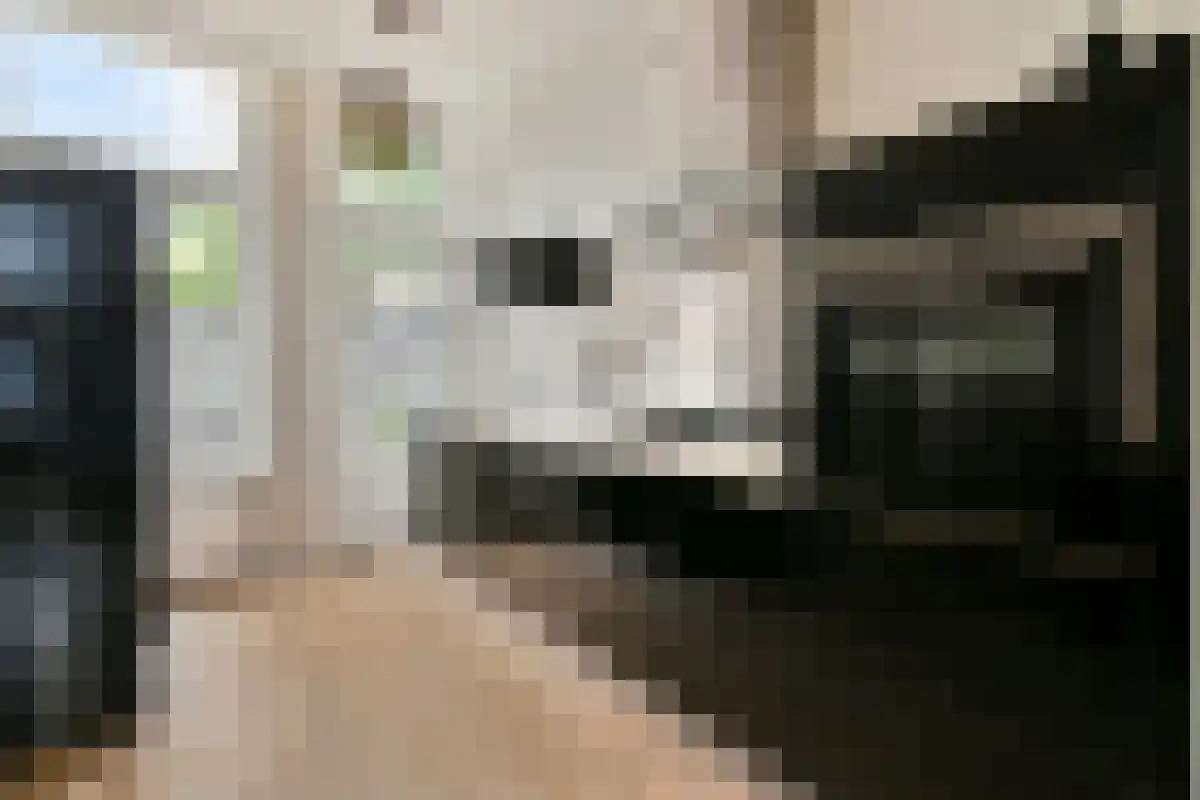 Houttuinen 2 Purmerend thumbnail 6