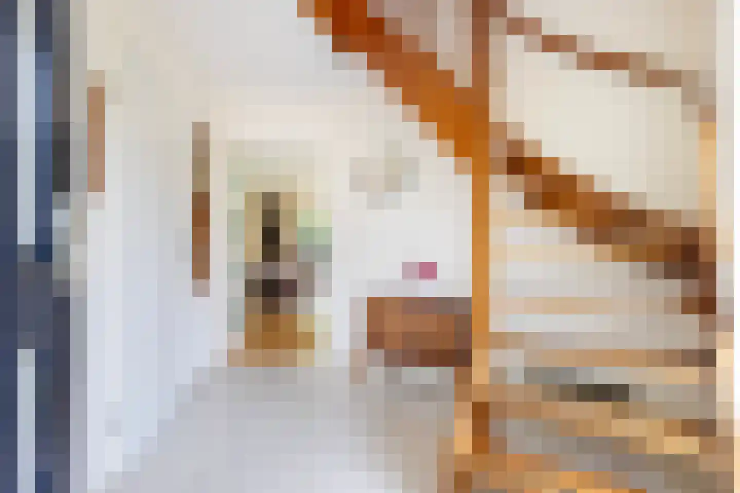 Houttuinen-Noord 11 Apeldoorn thumbnail 22