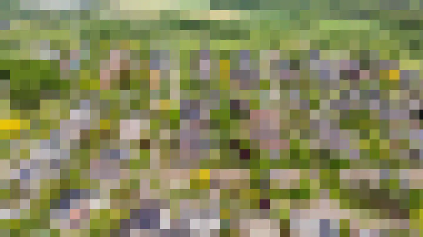 Houttuinen-Noord 11 Apeldoorn thumbnail 41