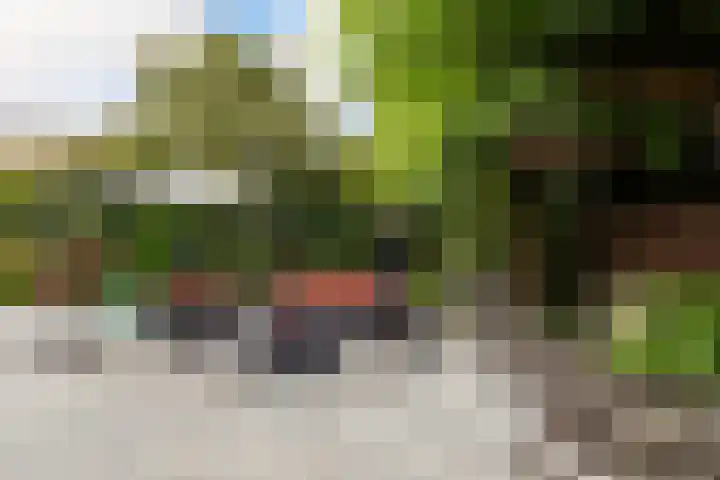 Houttuinen-Noord 30 Apeldoorn thumbnail 31