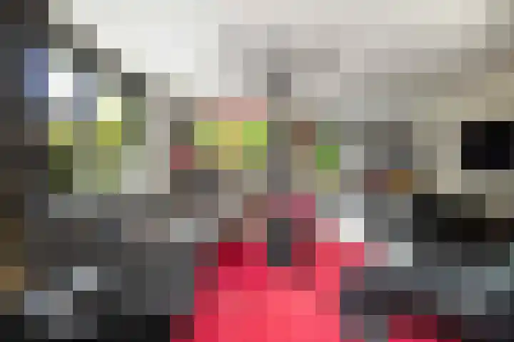 Houttuinen-Noord 30 Apeldoorn thumbnail 6