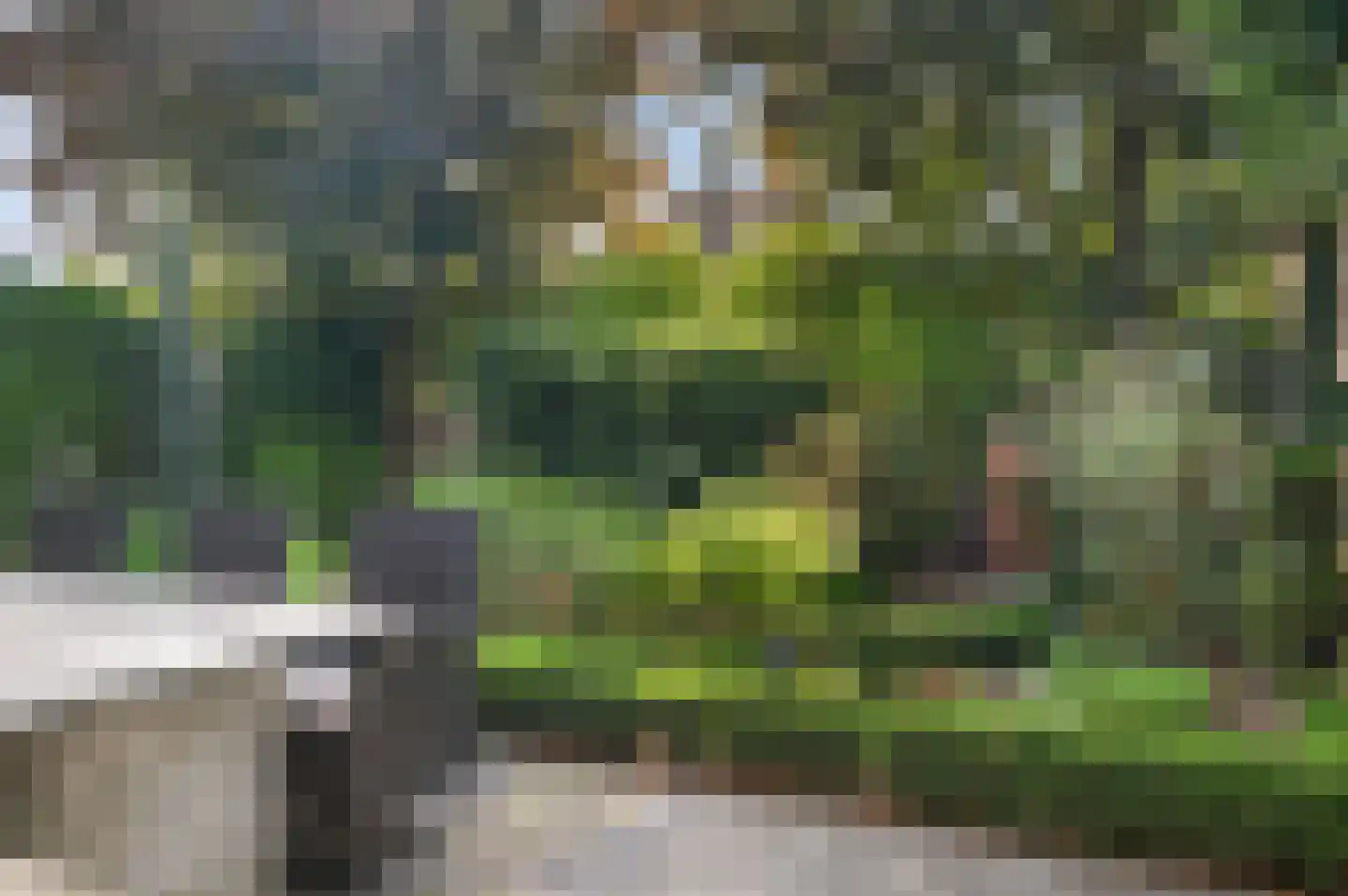 Houttuinen-Noord 38 Apeldoorn thumbnail 39