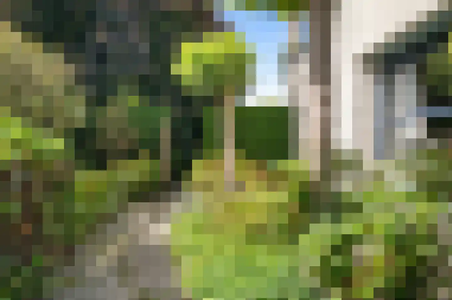 Houttuinen-Noord 38 Apeldoorn thumbnail 46