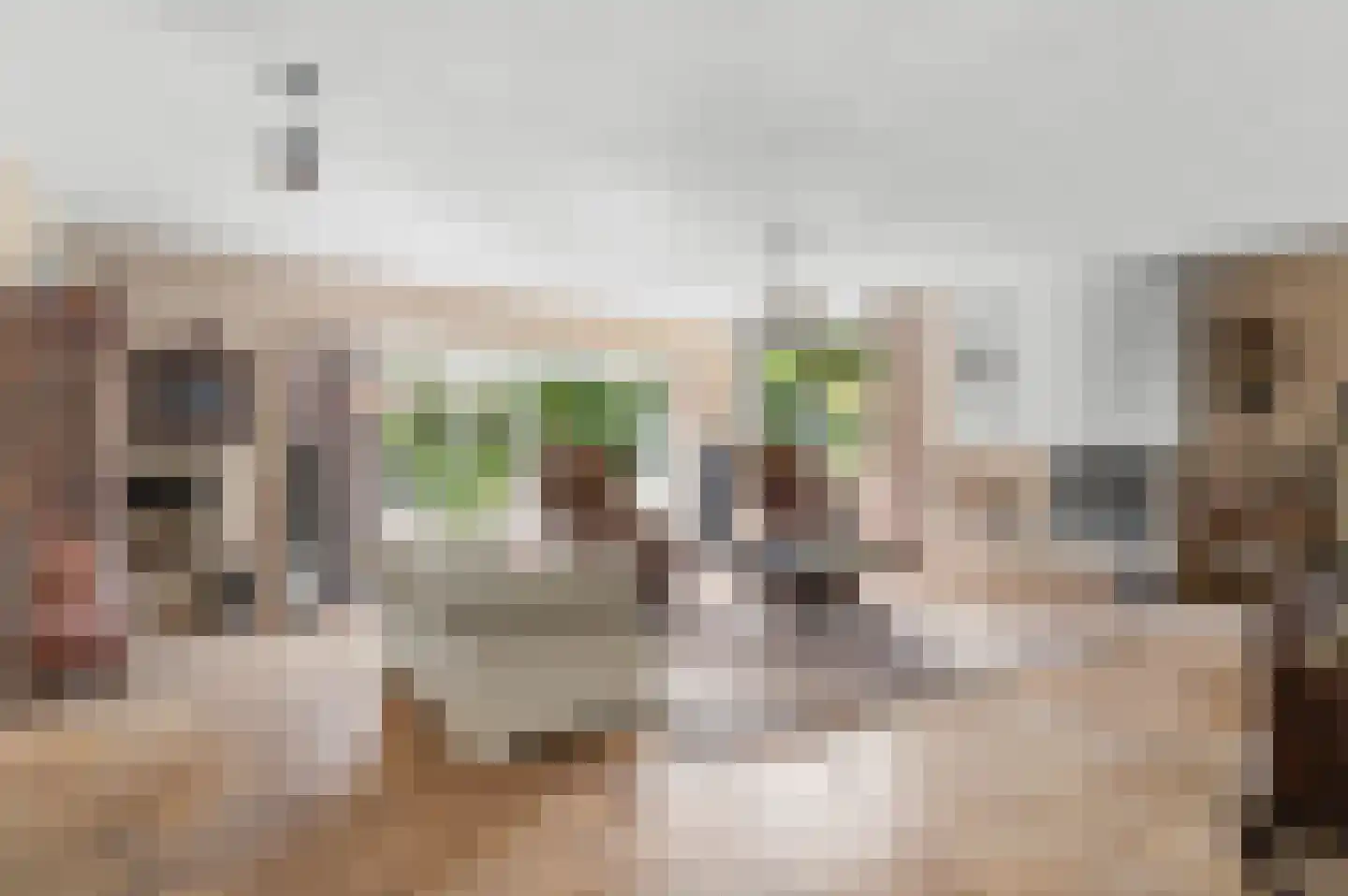 Houttuinen-Noord 38 Apeldoorn thumbnail 5