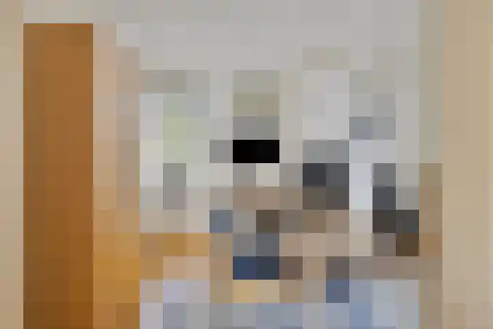 Houttuinen-Noord 46 Apeldoorn thumbnail 11