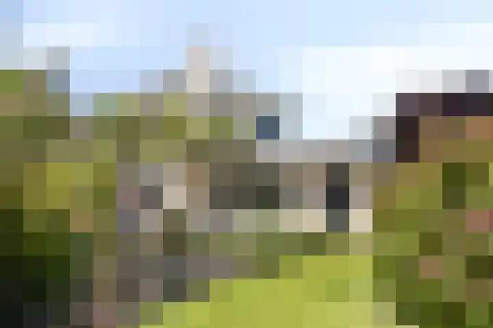 Houttuinen-Noord 46 Apeldoorn thumbnail 45