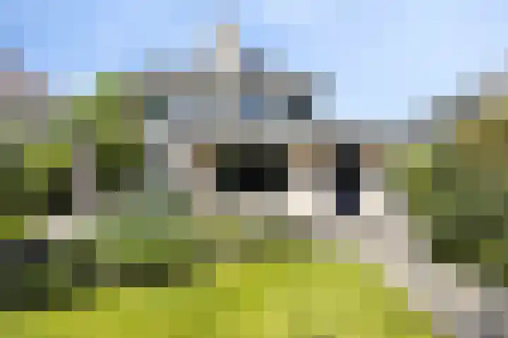 Houttuinen-Noord 46 Apeldoorn thumbnail 47