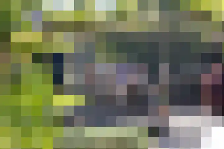 Houttuinen-Noord 46 Apeldoorn thumbnail 50