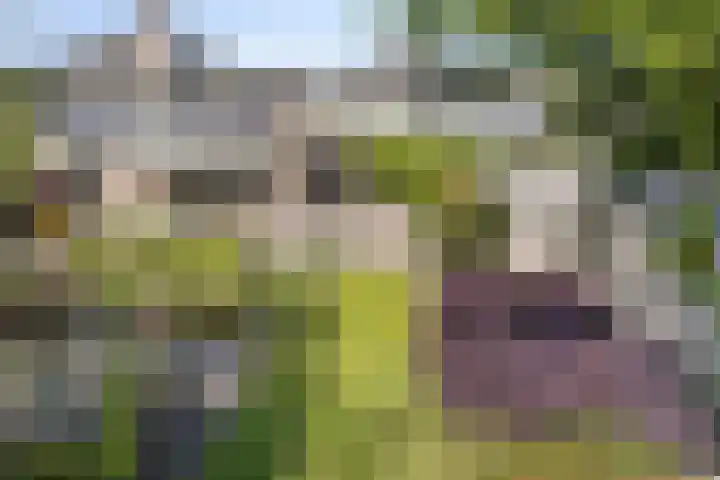 Houttuinen-Noord 46 Apeldoorn thumbnail 53
