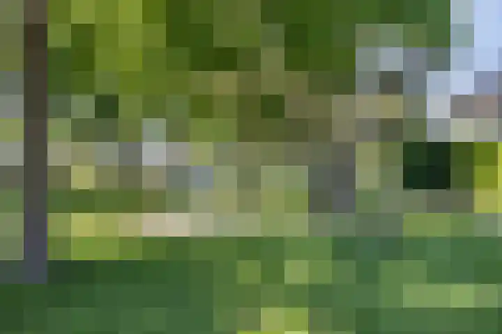 Houttuinen-Noord 46 Apeldoorn thumbnail 61