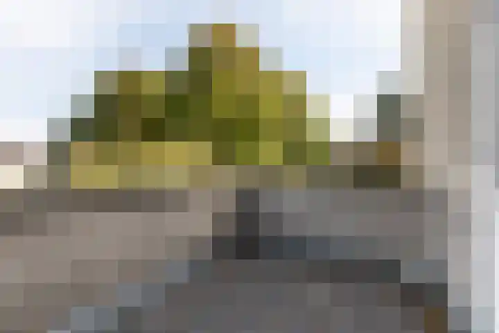 Houttuinen-Zuid 20 Apeldoorn thumbnail 31