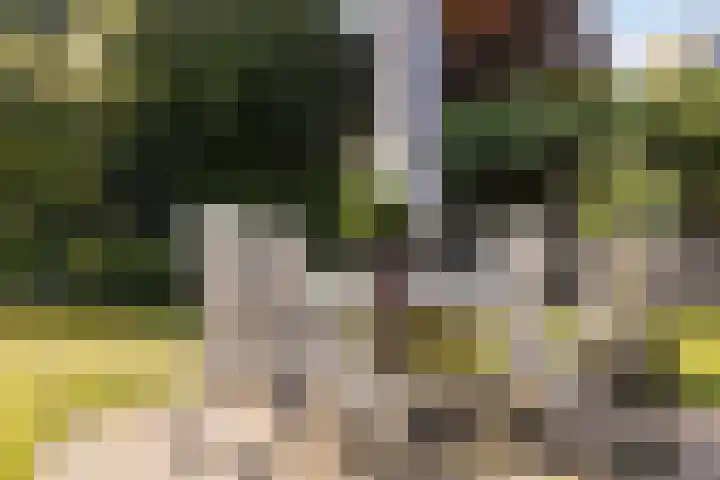 Houttuinen-Zuid 20 Apeldoorn thumbnail 36