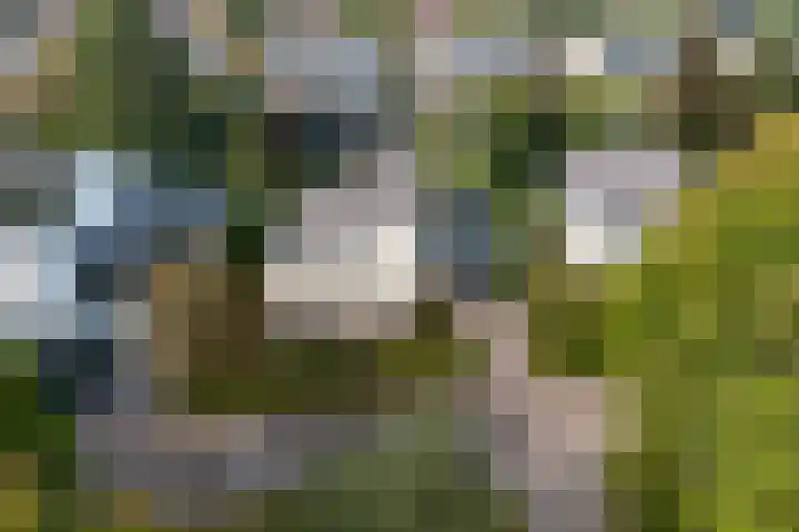 Houttuinen-Zuid 20 Apeldoorn thumbnail 38