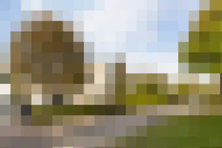 Houttuinen-Zuid 20 Apeldoorn thumbnail 39