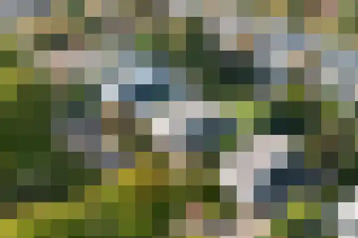 Houttuinen-Zuid 20 Apeldoorn thumbnail 41