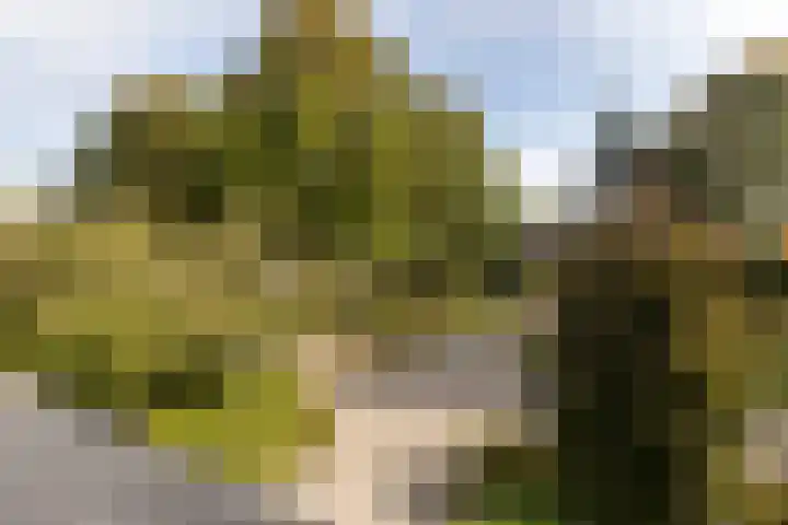 Houttuinen-Zuid 20 Apeldoorn thumbnail 42