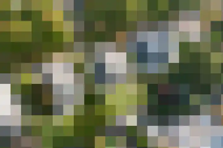 Houttuinen-Zuid 20 Apeldoorn thumbnail 5