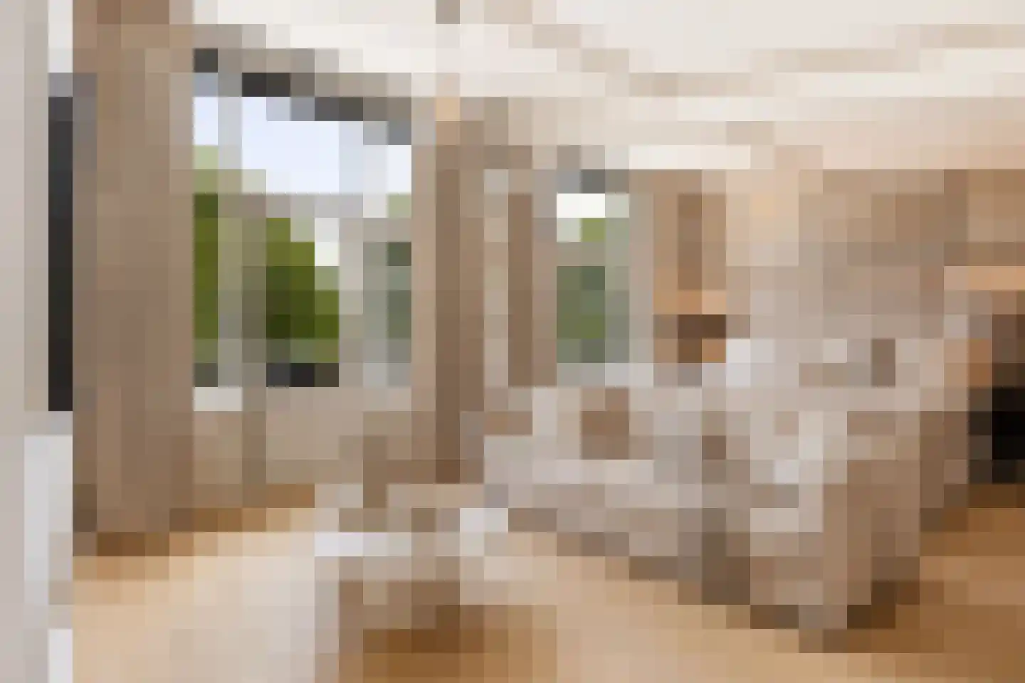 Houttuinen-Zuid 22 Apeldoorn thumbnail 22