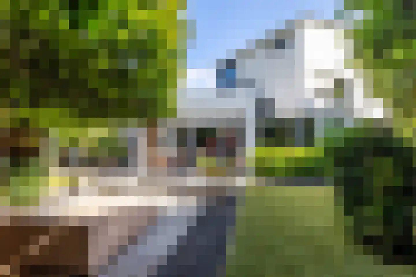 Houttuinen-Zuid 22 Apeldoorn thumbnail 32