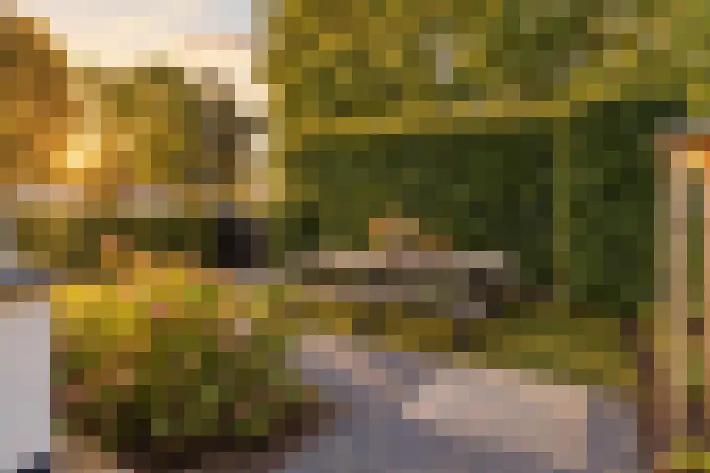 Houttuinen-Zuid 22 Apeldoorn thumbnail 35
