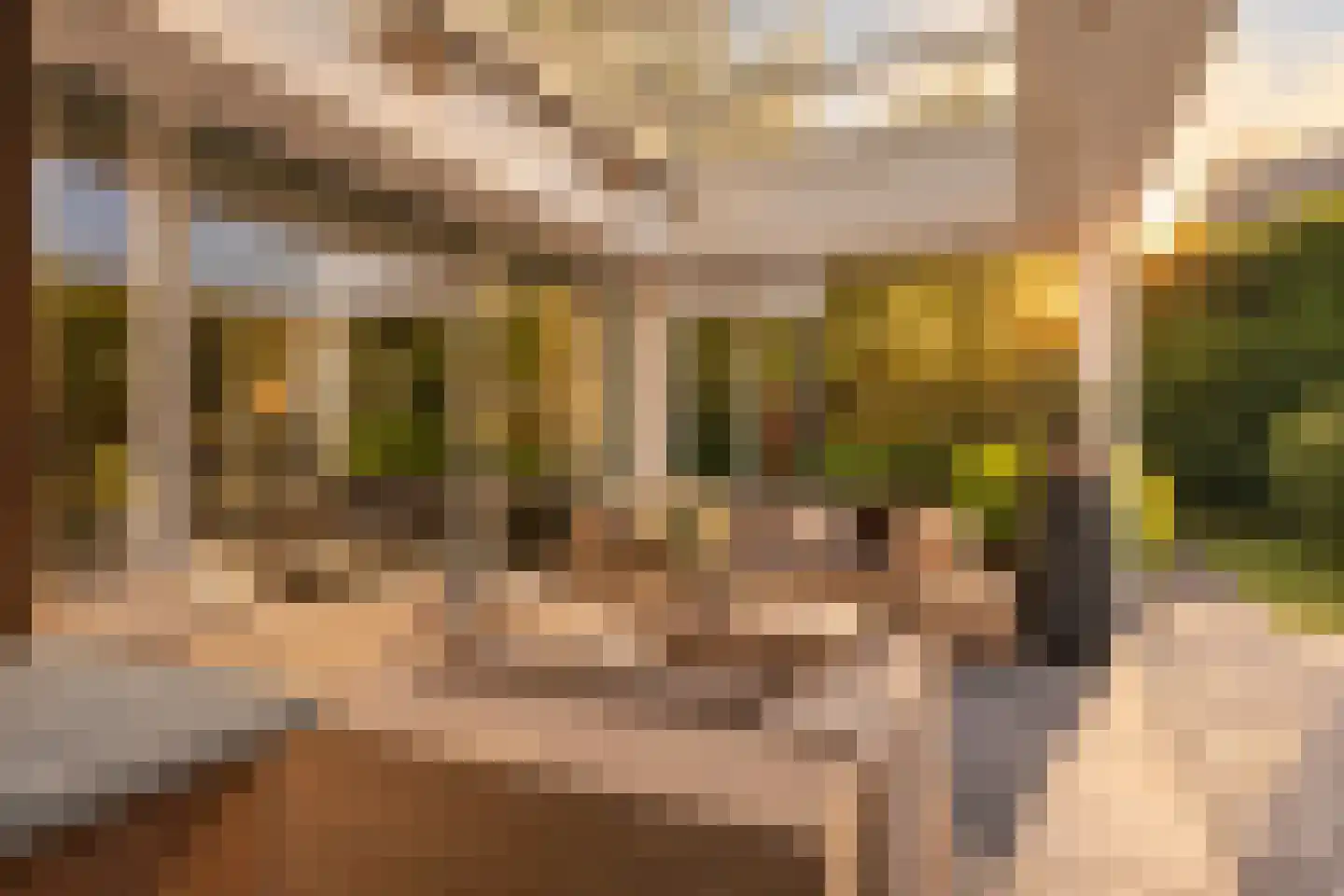 Houttuinen-Zuid 22 Apeldoorn thumbnail 37