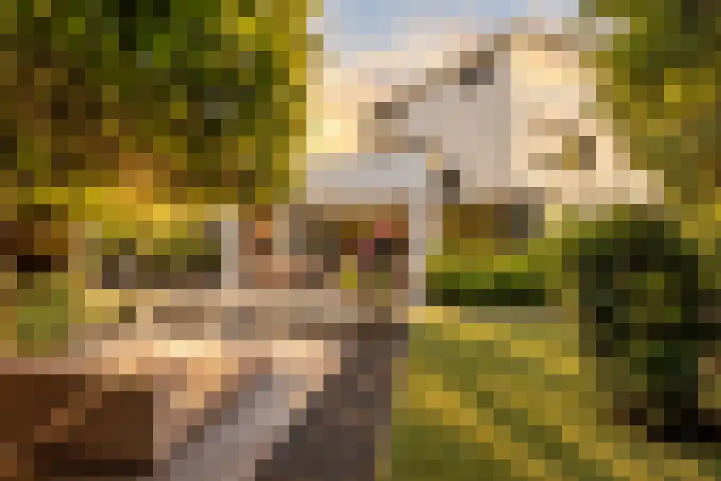 Houttuinen-Zuid 22 Apeldoorn thumbnail 38