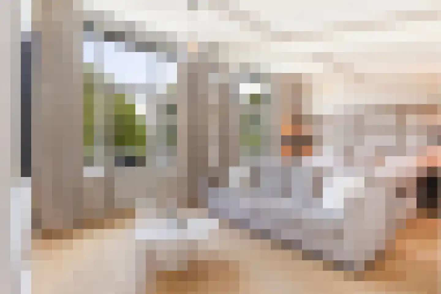 Houttuinen-Zuid 22 Apeldoorn thumbnail 39