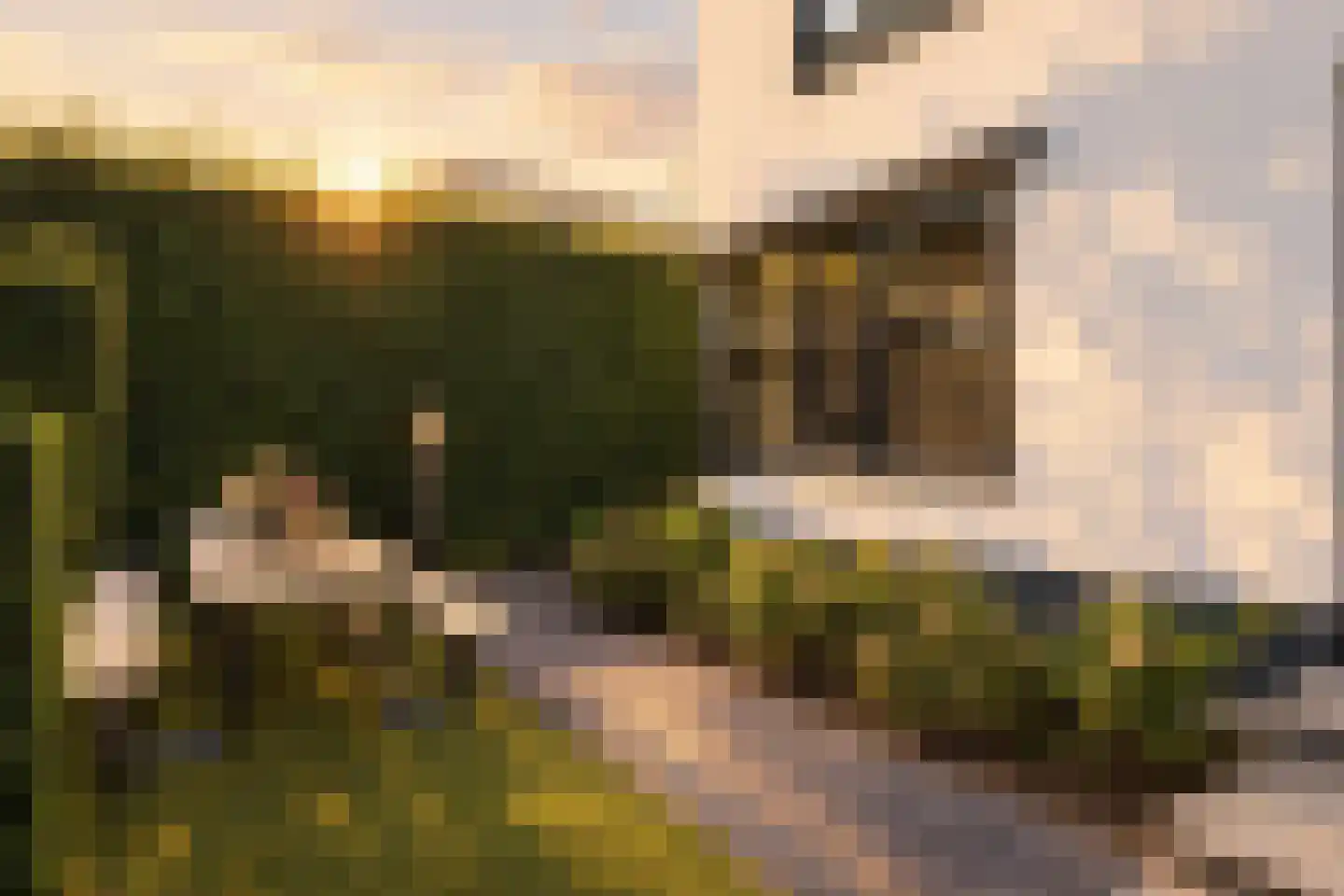 Houttuinen-Zuid 22 Apeldoorn thumbnail 41