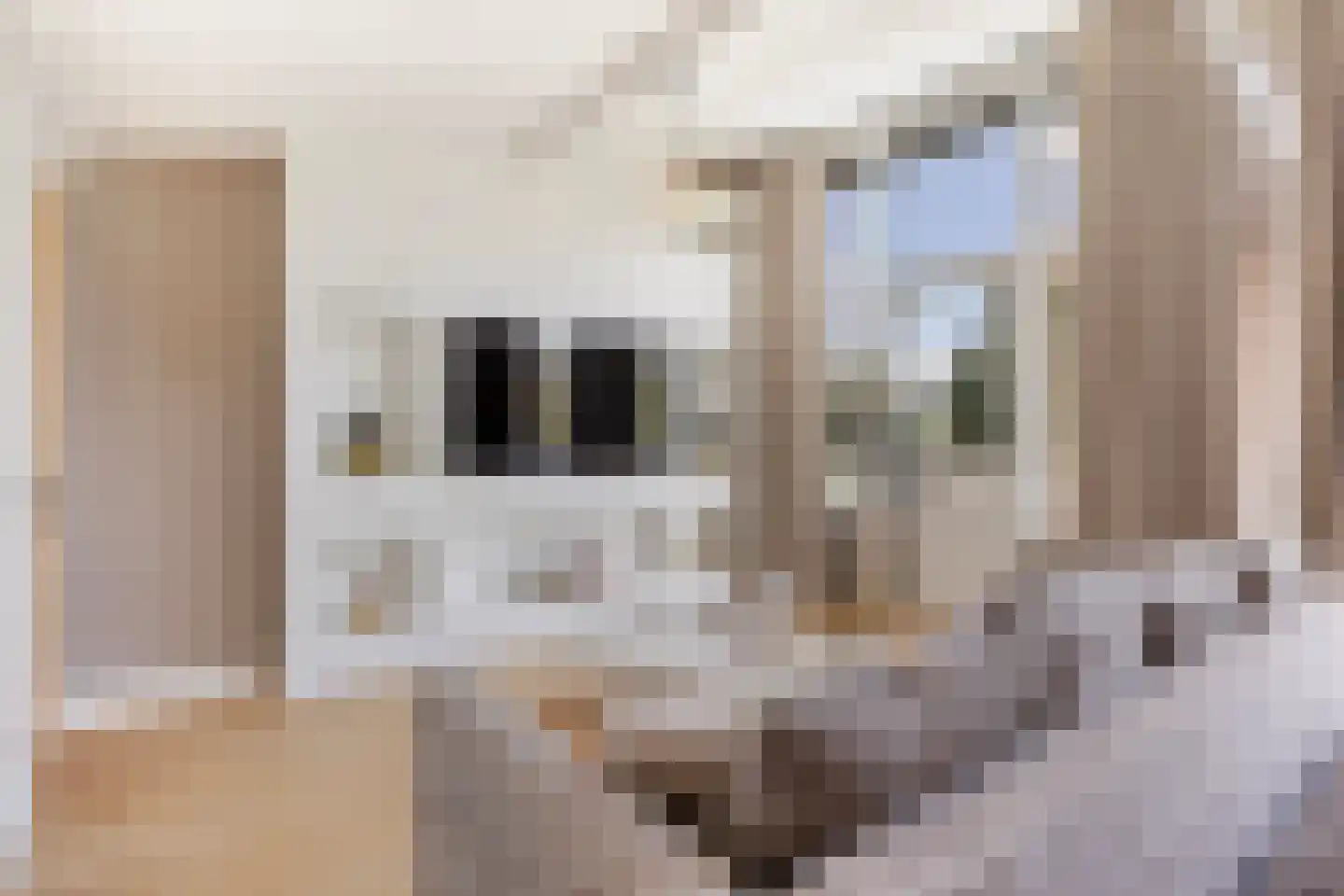 Houttuinen-Zuid 22 Apeldoorn thumbnail 41