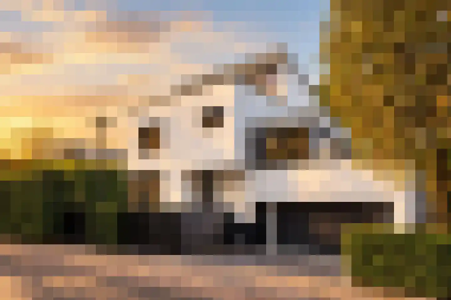 Houttuinen-Zuid 22 Apeldoorn thumbnail 42