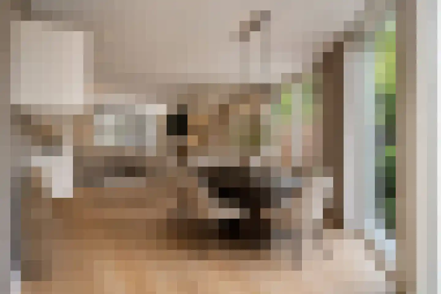 Houttuinen-Zuid 22 Apeldoorn thumbnail 7