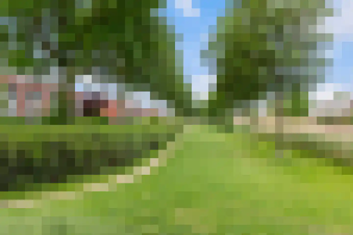 Houttuinen-Zuid 60 Apeldoorn thumbnail 32