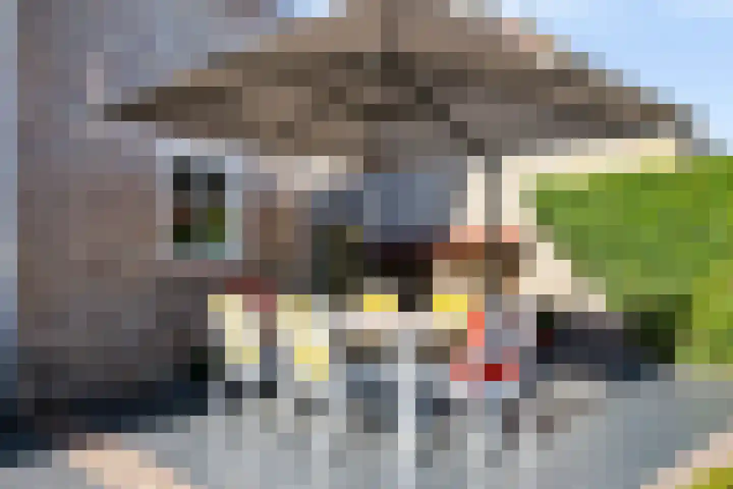 Houttuinen-Zuid 8 Apeldoorn thumbnail 25