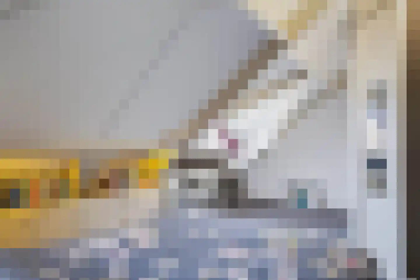 Houttuinen-Zuid 8 Apeldoorn thumbnail 56