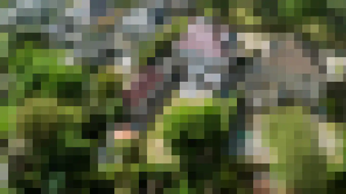 Houttuinen-Zuid 8 Apeldoorn thumbnail 64